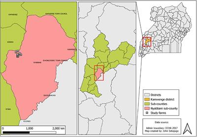 Short-term trade-offs of organic matter management strategies for smallholder farms